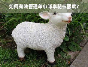 如何有效管理羊小咩享花卡额度？