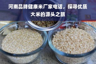 河南品牌健康米厂家电话，探寻优质大米的源头之旅