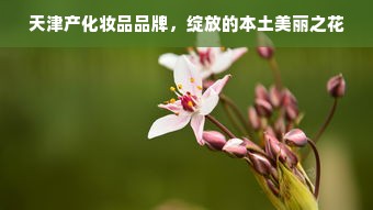 鹿优选额度提现商家指南，如何获取鹿优选额度券？