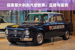 江苏省母婴纸品牌大盘点