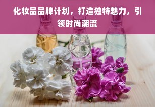 化妆品品牌计划，打造独特魅力，引领时尚潮流