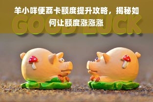 羊小咩便荔卡额度提升攻略，揭秘如何让额度涨涨涨