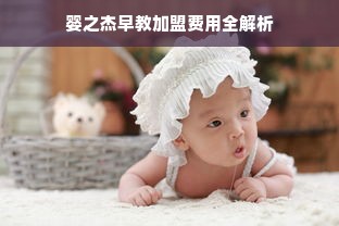 婴之杰早教加盟费用全解析