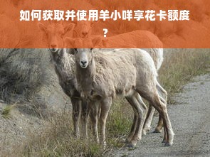 如何获取并使用羊小咩享花卡额度？