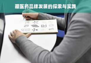 藏医药品牌发展的探索与实践
