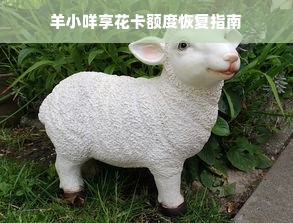 羊小咩享花卡额度恢复指南