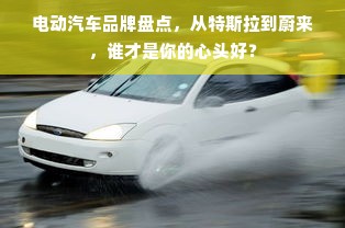 电动汽车品牌盘点，从特斯拉到蔚来，谁才是你的心头好？