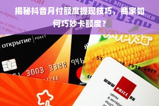揭秘抖音月付额度提现技巧，商家如何巧妙卡额度？