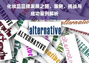 化妆品品牌发展之路，策略、挑战与成功案例解析