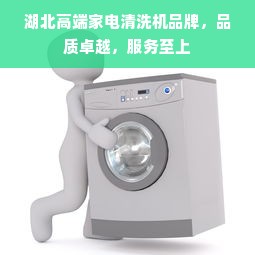 湖北高端家电清洗机品牌，品质卓越，服务至上