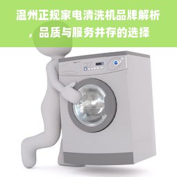 温州正规家电清洗机品牌解析，品质与服务并存的选择