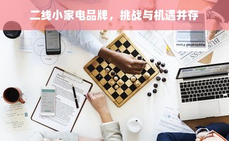 二线小家电品牌，挑战与机遇并存