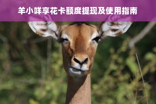 羊小咩享花卡额度提现及使用指南