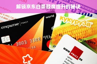 解锁京东白条额度提升的秘诀