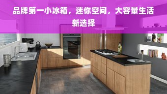 品牌第一小冰箱，迷你空间，大容量生活新选择