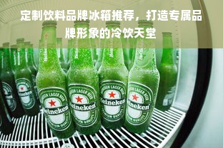 定制饮料品牌冰箱推荐，打造专属品牌形象的冷饮天堂
