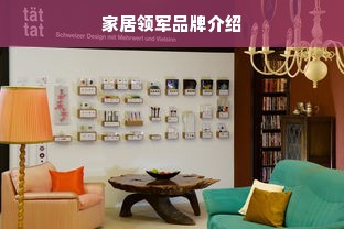 家居领军品牌介绍