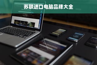 苏联进口电脑品牌大全