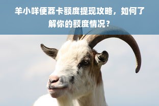 羊小咩便荔卡额度提现攻略，如何了解你的额度情况？