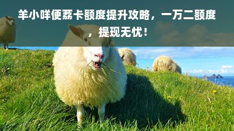 羊小咩便荔卡额度提升攻略，一万二额度，提现无忧！