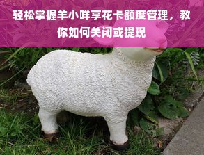 轻松掌握羊小咩享花卡额度管理，教你如何关闭或提现