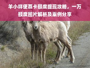 羊小咩便荔卡额度提现攻略，一万额度图片解析及案例分享