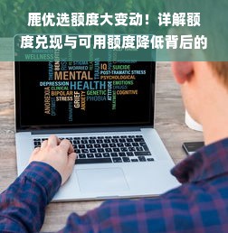 鹿优选额度大变动！详解额度兑现与可用额度降低背后的原因及影响