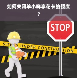 如何关闭羊小咩享花卡的额度？