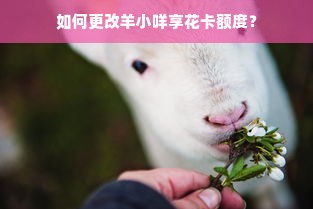 如何更改羊小咩享花卡额度？