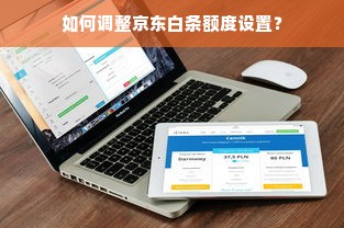 如何调整京东白条额度设置？