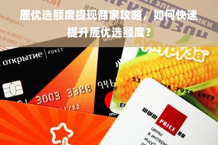 鹿优选额度提现商家攻略，如何快速提升鹿优选额度？