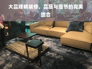 大品牌精装修，品质与细节的完美结合