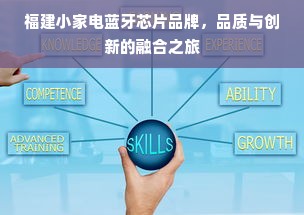 福建小家电蓝牙芯片品牌，品质与创新的融合之旅