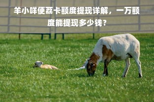 羊小咩便荔卡额度提现详解，一万额度能提现多少钱？