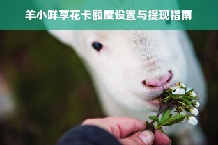羊小咩享花卡额度设置与提现指南