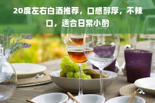 20度左右白酒推荐，口感醇厚，不辣口，适合日常小酌