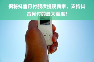揭秘抖音月付额度提现商家，支持抖音月付的最大额度！