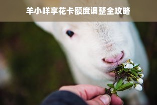 羊小咩享花卡额度调整全攻略