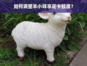 如何调整羊小咩享花卡额度？