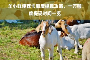 羊小咩便荔卡额度提现攻略，一万额度提现时间一览