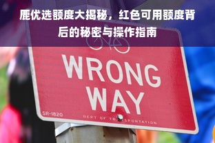 鹿优选额度大揭秘，红色可用额度背后的秘密与操作指南