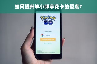 如何提升羊小咩享花卡的额度？