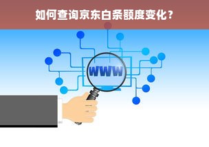 如何查询京东白条额度变化？
