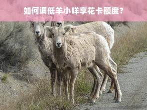 如何调低羊小咩享花卡额度？