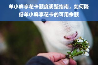 羊小咩享花卡额度调整指南，如何降低羊小咩享花卡的可用余额