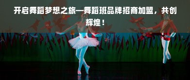 开启舞蹈梦想之旅—舞蹈班品牌招商加盟，共创辉煌！
