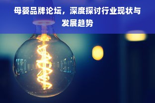 母婴品牌论坛，深度探讨行业现状与发展趋势