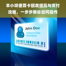 羊小咩便荔卡额度提现与支付攻略，一步步教你如何操作