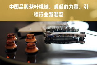 中国品牌茶叶机械，崛起的力量，引领行业新潮流