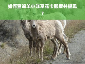 如何查询羊小咩享花卡额度并提现？